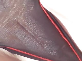 热宝贝触摸山雀